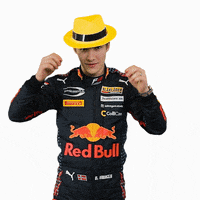 Formula 3 Dennis GIF by Prema Team