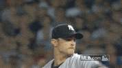 mlb baseball mlb david yankees GIF