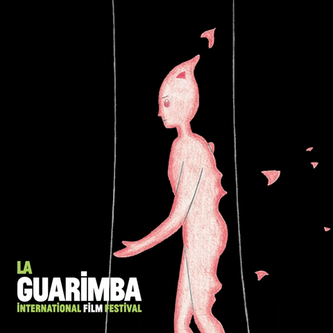 Hide And Seek Love GIF by La Guarimba Film Festival