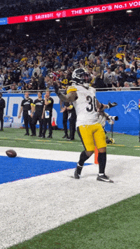 Celebration Nfl GIF by Pittsburgh Steelers