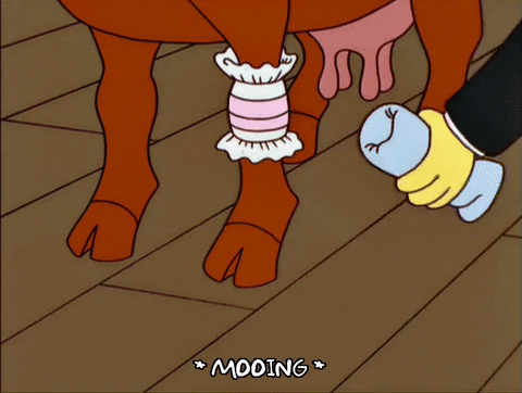 breaking episode 12 GIF