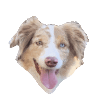 Dog Love Sticker