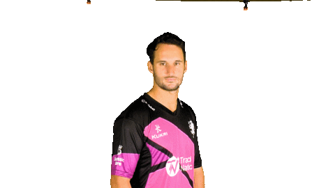 Jurassic Fibre Sticker by Somerset County Cricket Club