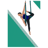 Spin City Sticker by Spin City Aerial Fitness