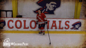 ice hockey celebration GIF by Robert Morris University Athletics