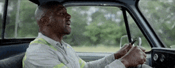 brittanyhoward terry crews stay high brittany howard GIF