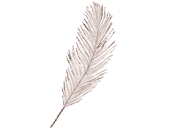 中村大輔 Sticker by sbc_shinjuku