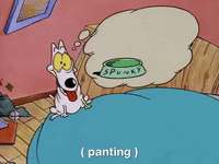 rockos modern life nicksplat GIF