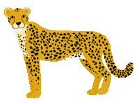 Big Cat Sticker by Manda Creates Pretty