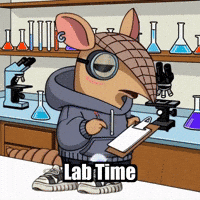 Experiment Armadillo GIF by Chillo Dillo