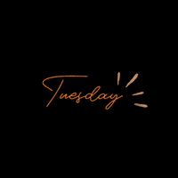 foxandhounddesign tuesday daysoftheweek foxandhounddesign atlanta GIF