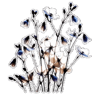 May Day Flores Sticker by TresorsDuMonde.ca