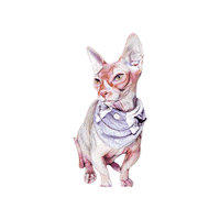 Unotheunano Sticker by Bellucci Manila