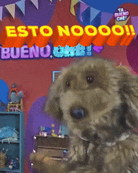 No GIF by LIBERUM