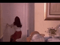 Telenovela GIF