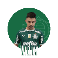soccer futebol Sticker by SE Palmeiras