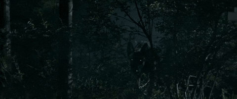 Chris Stuckmann Horror GIF by NEON