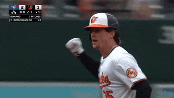 Celebrate Major League Baseball GIF by MLB