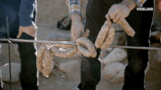 viceland GIF by Bong Appétit