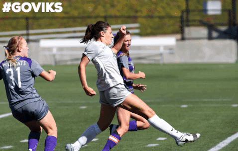 goviks sofipapastamos GIF