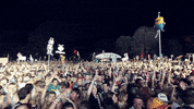 electric forest dance GIF by THUMP