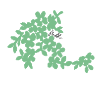 Apple Blossom Flower Sticker by YOLKE