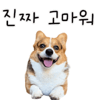 Corgi Milo Sticker