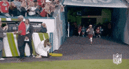 Super Bowl Football GIF by NFL