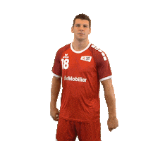 swisshandball_official handball schweiz swiss swisshandball Sticker