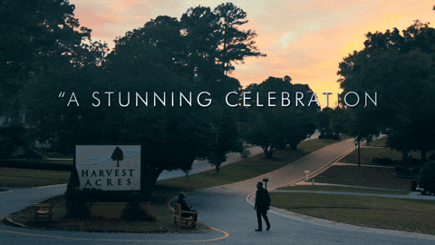 Tom Hiddleston Sunset GIF by NEON