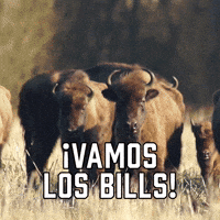 ¡Vamos Los Bills!