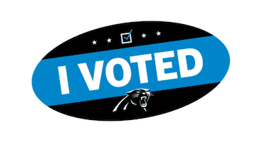National Football League Sticker by Carolina Panthers