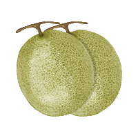 Melon Tieten Sticker by #safesexting