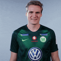 fifa 18 football GIF by VfL Wolfsburg