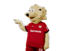 Bayer 04 Brian GIF by Bayer 04 Leverkusen