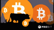 Invest All Time High GIF by ProBit Global