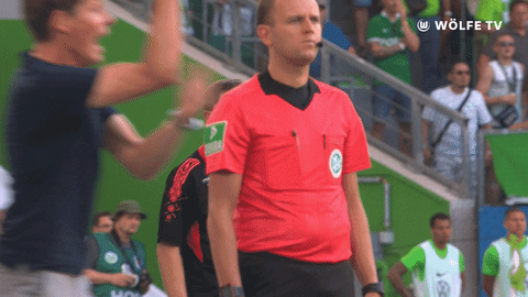 Soccer Bundesliga GIF by VfL Wolfsburg