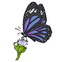 Blue Butterfly Flower Sticker
