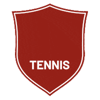 Tennis Adriano Sticker by adrianopanattaracquetclub