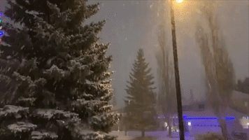Picturesque Heavy Snow Falls Over Calgary, Alberta