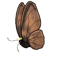 Fly Butterfly Sticker