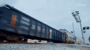 viceland GIF by Kentucky Ayahuasca