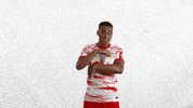 Happy Football GIF by RB Leipzig
