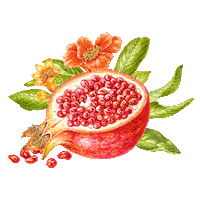 Wyld Cbd Sticker by Wyld