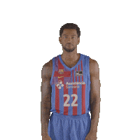 Fc Barcelona Basketball Sticker by ACB