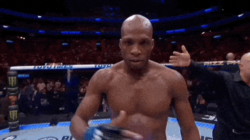 Mixed Martial Arts Sport GIF by UFC