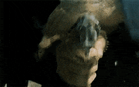 franco nero film GIF by hoppip