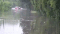 Woman, Police Officer Rescued From Texas Flood Waters