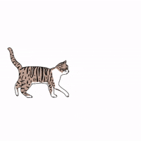 KeepItCuriousPodcast keepitcurious keep it curious keepitcuriouspodcast keep it curious podcast GIF