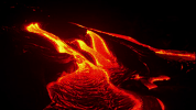 symphony for our world GIF by Nat Geo Wild 